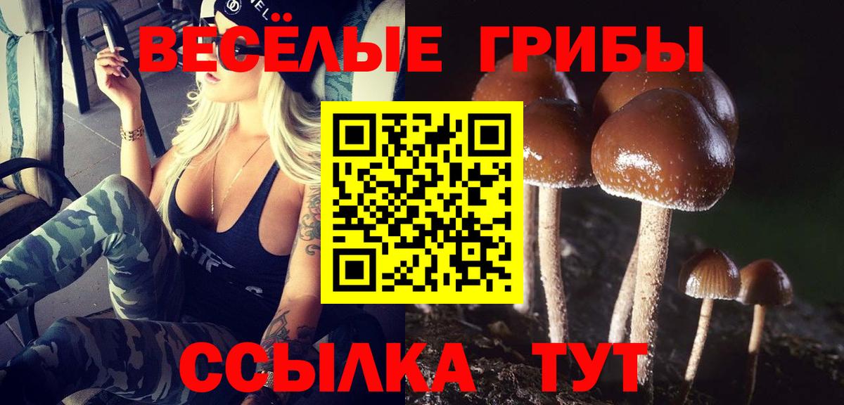 Пугачёв  Галлюциногенные грибы Magic Shrooms  Псилоцибиновые грибы ЛСД  Вход с VPN 