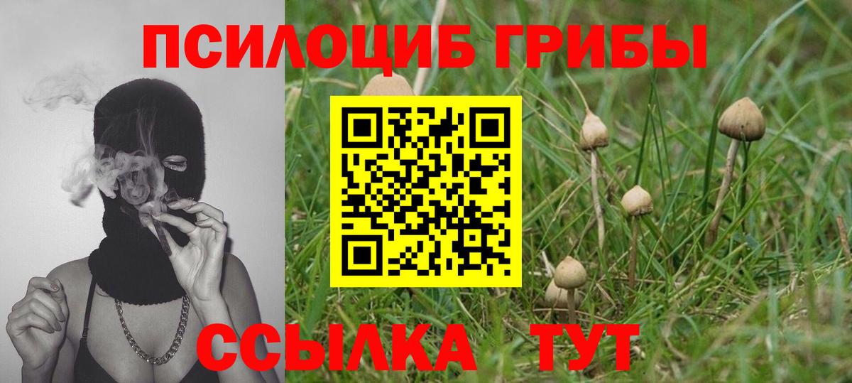 Псилоцибиновые грибы ЛСД Пугачёв